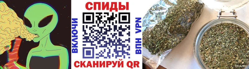Купить  Сосенский  Бутират оксана 