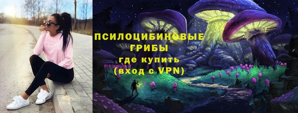 соль ск Верея