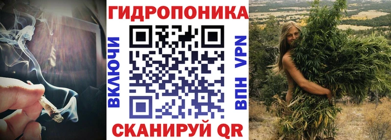Шишки марихуана семена  Купить где  Сосенский 